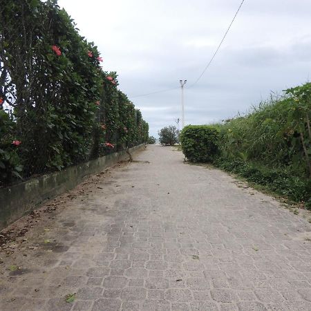 Lindo Apartamento 500M Da Praia Ingleses Norte Florianópolis 외부 사진