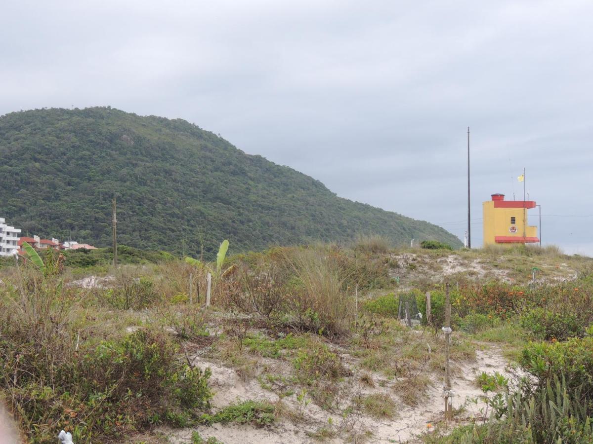 Lindo Apartamento 500M Da Praia Ingleses Norte Florianópolis 외부 사진